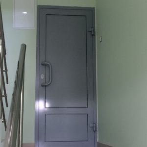Глухая входная алюминиевая дверь Глухая входная алюминиевая дверь